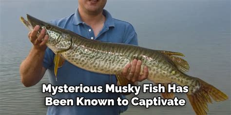 musky smell in tagalog meaning